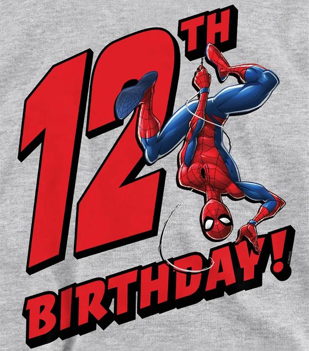 Image du produit Spiderman - Sweat à capuche 12ème anniversaire - Enfant (116)