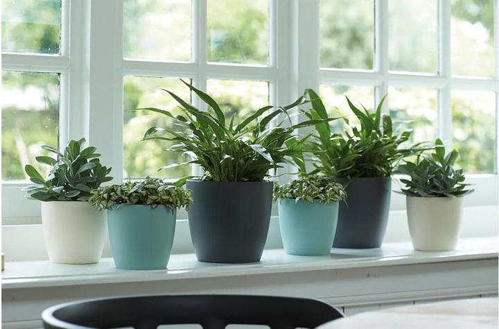 Produktbild Elho Brussels (14 x 13 cm)