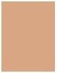 Immagine prodotto Sensai Ricarica Cellular Performance Total Finish (13)