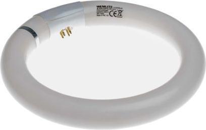Produktbild RS PRO Leuchtstoffröhre rund 22W G10q 8"