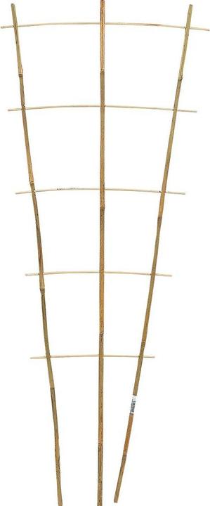 Image du produit Siena Garden Support de plantes (110 cm, 40 cm)