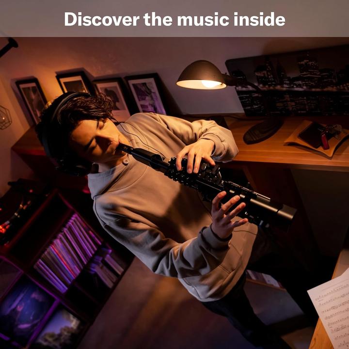 Image du produit Yamaha YDS-120 (Saxophone)