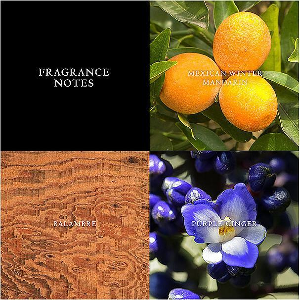 Actual product image John Varvatos Artisan (Eau de toilette, 75 ml)