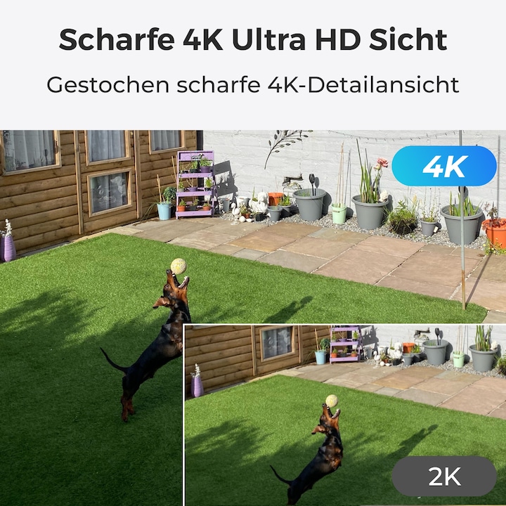 Produktbild Reolink NVS8-8MB4 (3840 x 2160 Pixels)