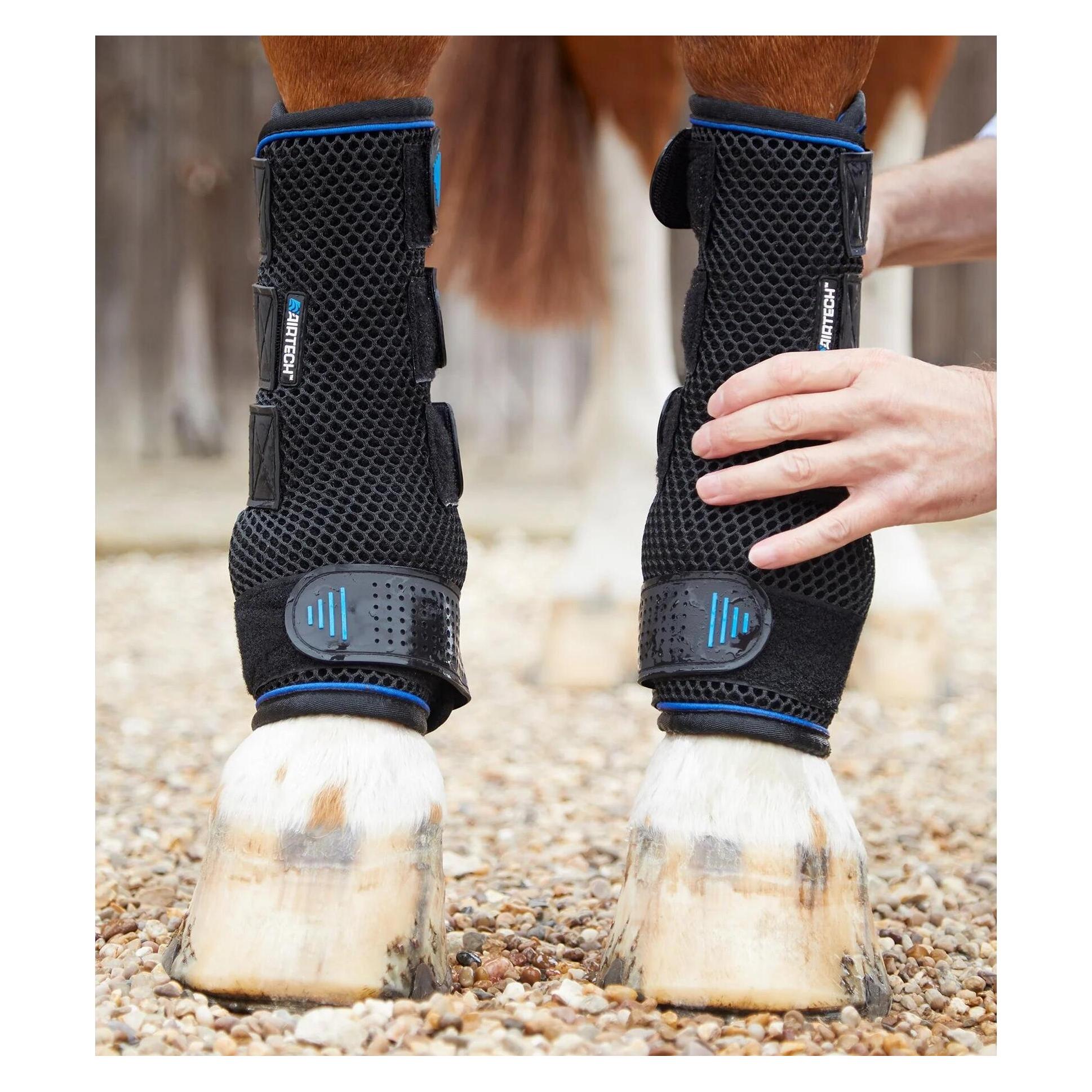 Premier Equine, Pferdebeinschutz, (Xl)