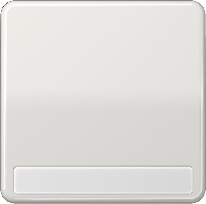 Actual product image JUNG Rocker switch CD lgr glz BSF CD590NALG