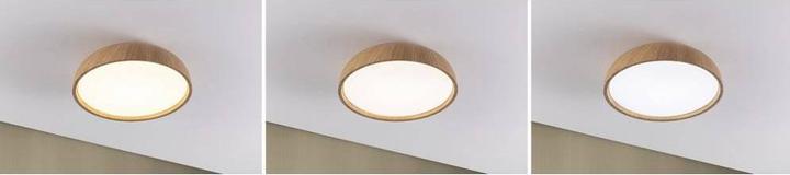 Actual product image Paulmann PAUL LED ceiling light (2500 lm)