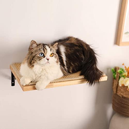 Produktbild Alopini Kletterwand Katzen, Katzenbett Wand aus 2cm starkem Vollgummiholz mit widerstandsfähiger (10 cm, Mehrfarbig)