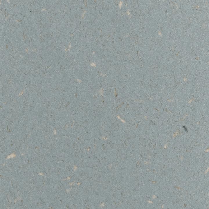 Actual product image Mysoda Woody