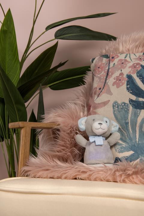 Actual product image Lucide Dolly