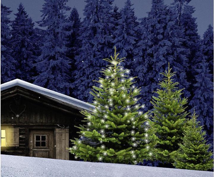 Image du produit FHS Rideau d'arbre LED (1.80 m)