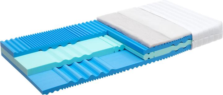 Robusta Swiss Bedding Elanbasic II (140 x 200 cm, Schaumstoffkern)