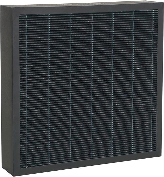 Actual product image Ideal Health Filter for AP100