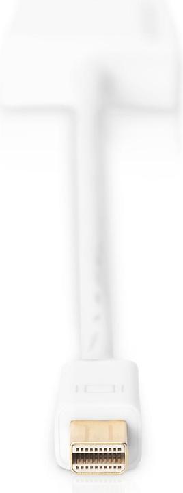 Produktbild Digitus ASSMANN DisplayPort Adapterkabel mini DP - HDMI Typ A St/Bu 0,2m HDMI Ver. 2.0 aktiv CE gold we (HDMI, 20 cm)