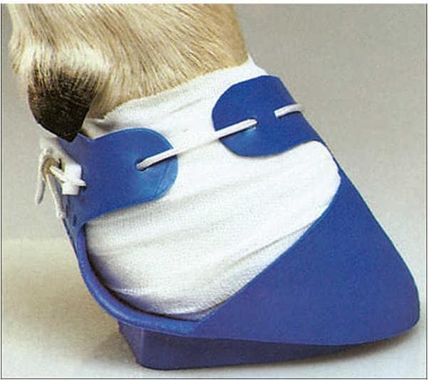 Produktbild Magni Kerbl Shoof-Rindersch. gross, Links Fb. blau, bis 125mm