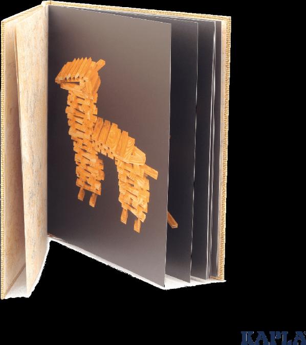 Actual product image Kapla Book 4 beige
