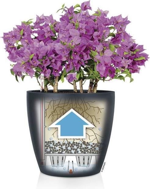 Actual product image Lechuza Classico Color (27.50 x 26 cm)