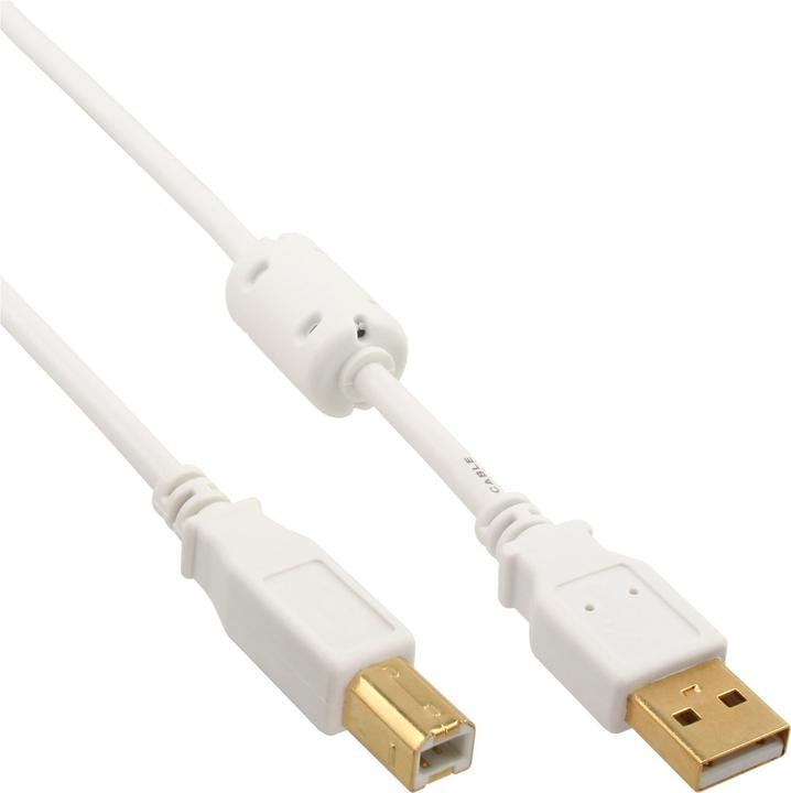 Image du produit InLine Câble USB 2.0 (2 m, USB 2.0)