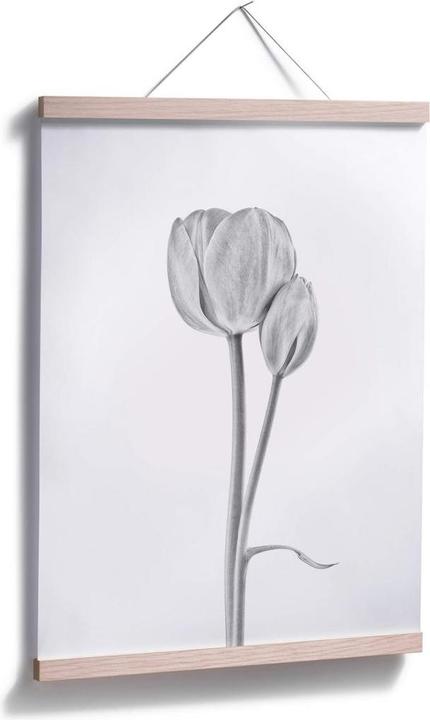 Produktbild Trenddeko Tulpen (80 x 100 cm)
