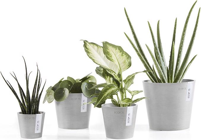 Produktbild Ecopots Amsterdam Mini (10.50 cm)