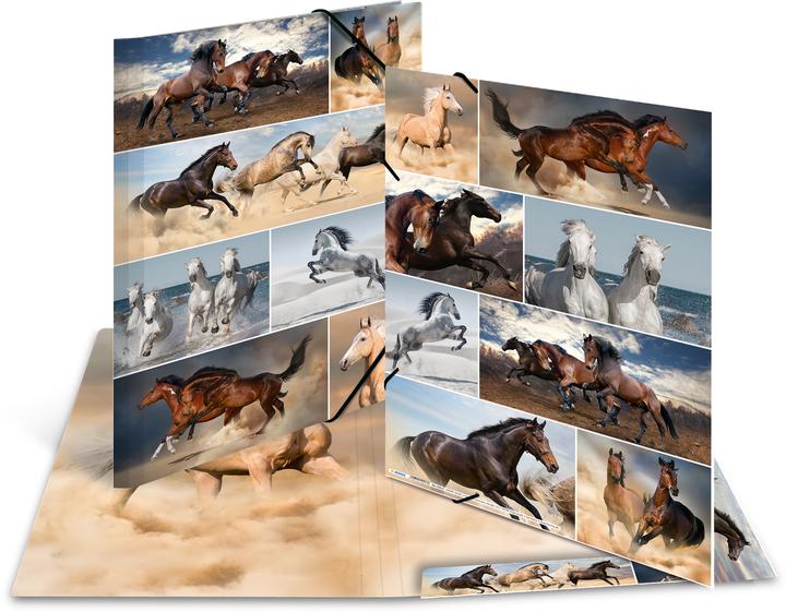 Produktbild HERMA Sammelmappe A3 Motiv (A3, 1 x)