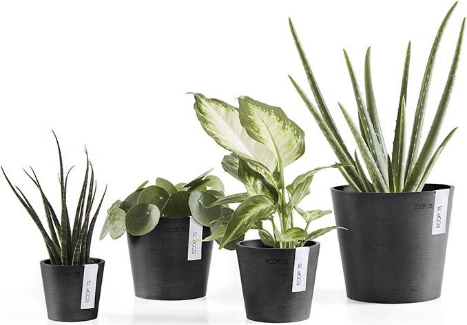 Produktbild Ecopots Amsterdam Mini (17 cm)