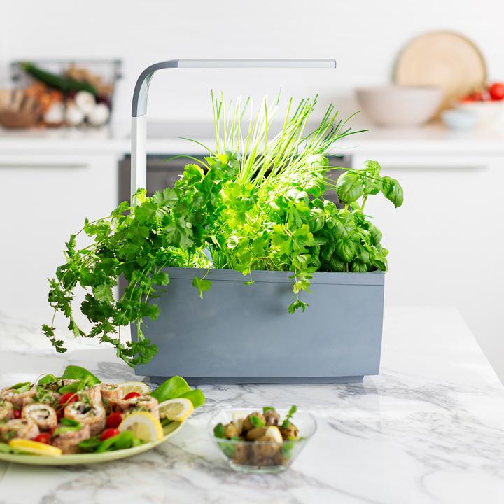 Actual product image Tregren T6 Kitchen Garden (17.50 cm)