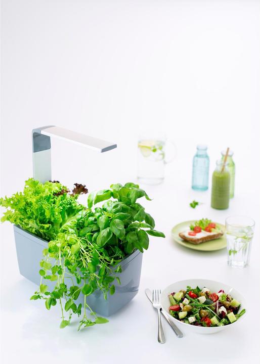 Actual product image Tregren T6 Kitchen Garden (17.50 cm)