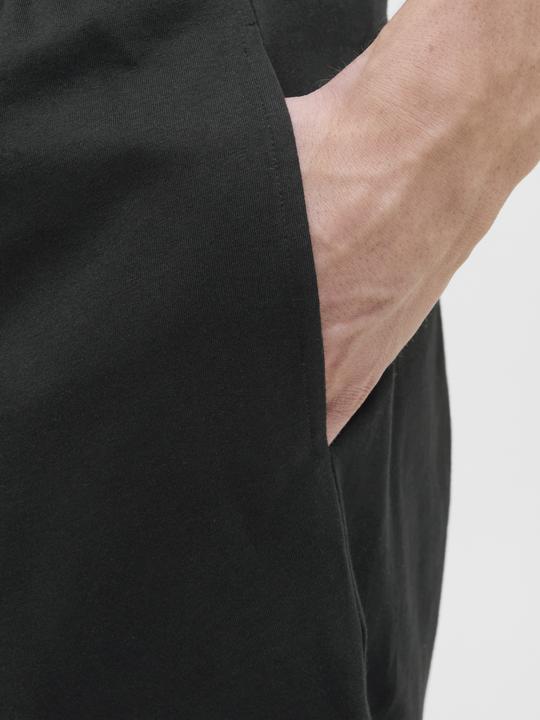 Image du produit Jack & Jones Regular Fit Shorts Shorts (S)