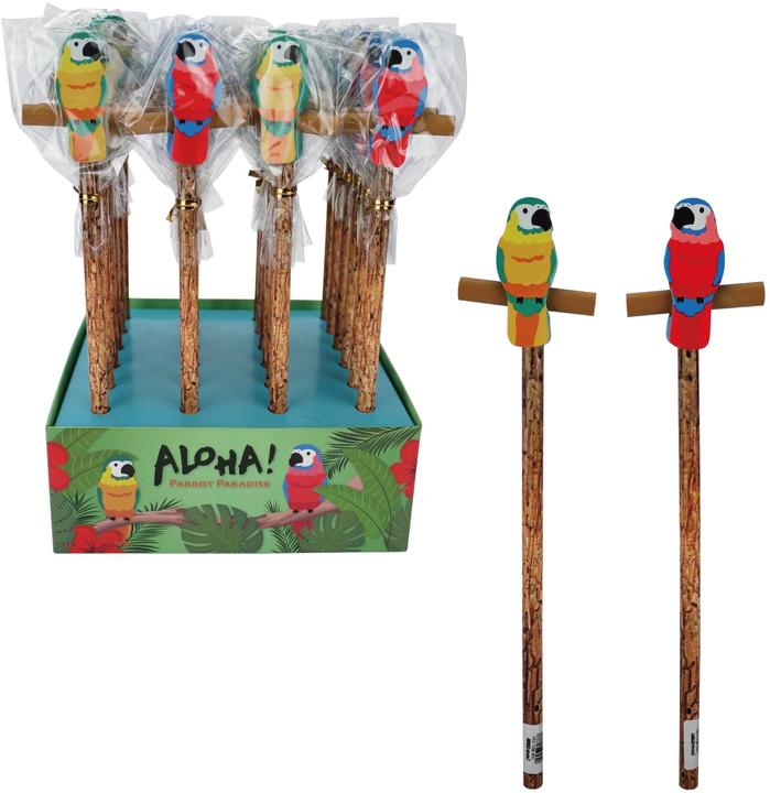 Crayon à papier + critérium