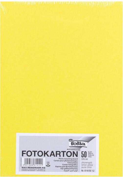 Produktbild Folia Fotokarton farbig Format A4 (300 g/m², 1x)