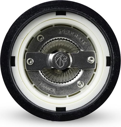 Produktbild Peugeot Paris (Salz)