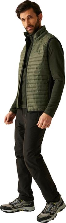 Produktbild Regatta Andreson Hybrid Steppjacke (S)