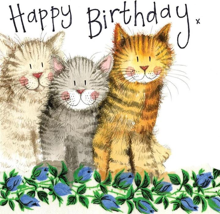 Produktbild Teka Geburtstagskarte S97 3 Katzen