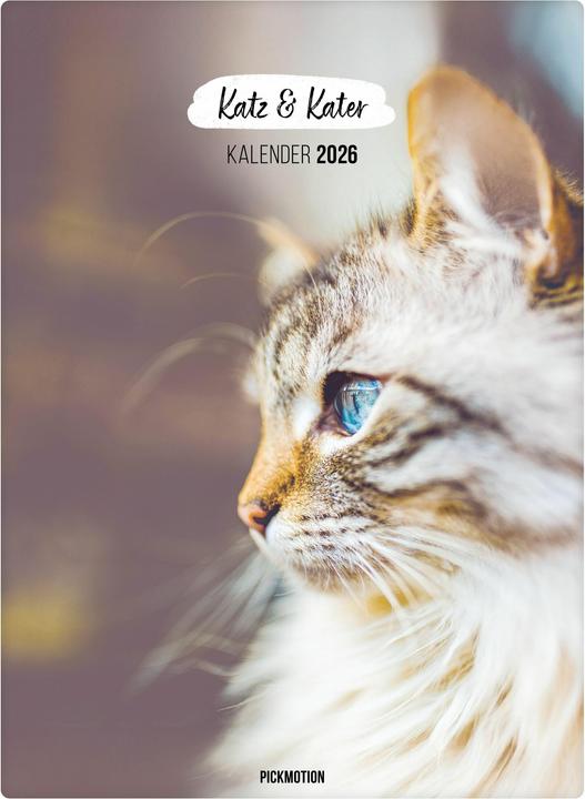 Produktbild Wandkalender 2026 - Katz & Kater
