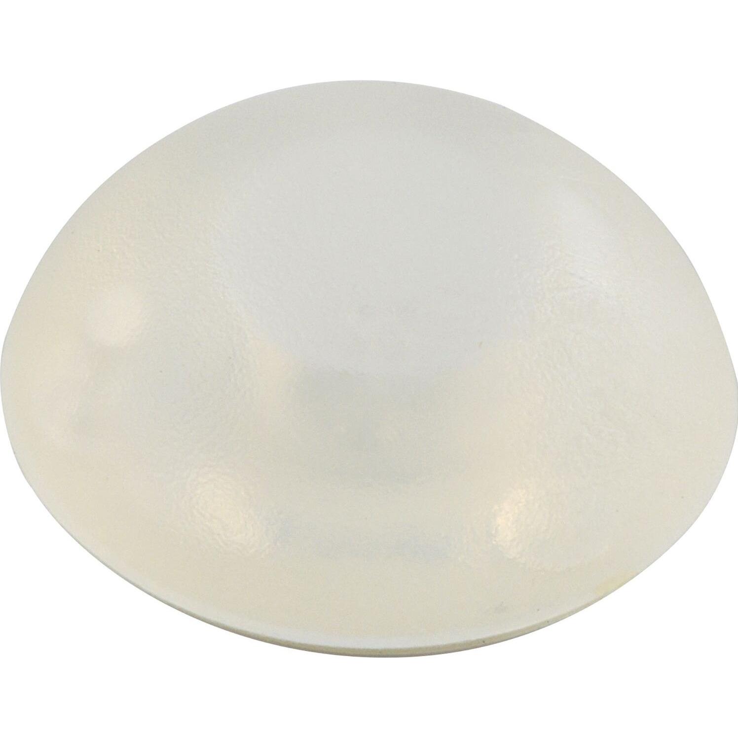Franz Haas, Türstopper, Wandpuffer Türpuffer ø 32 mm, Höhe 12 mm selbstklebend, Kunststoff transparent (1 Stück)
