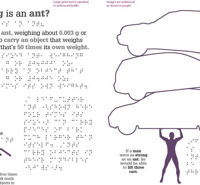 Produktbild DK Braille It Can't Be True (Englisch, 2016)