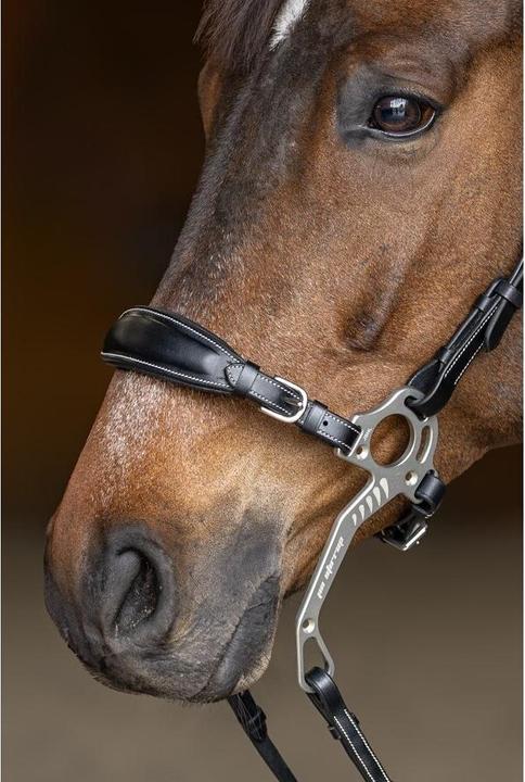 Image du produit HFI Master Hackamore
