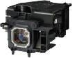 Immagine prodotto NEC Np16lp / 60003120, per M260ws, M300w, M300xs, M350x, Np-M300w (M260WS, M300W, M300XS, M350X, NP-M300W)
