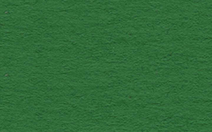 Actual product image Ursus Photo cardboard 50x70cm 3882255 300g, green (300 g/m², 10 x)