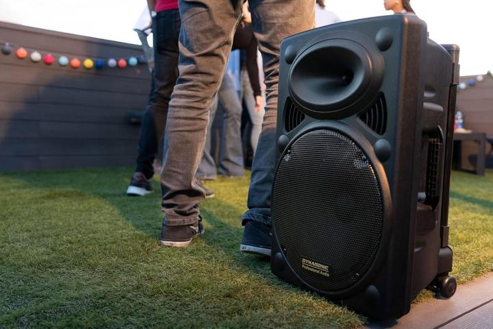 Immagine prodotto Dynasonic Dynapro 12 Plus (Attivo, 1x 700 W)