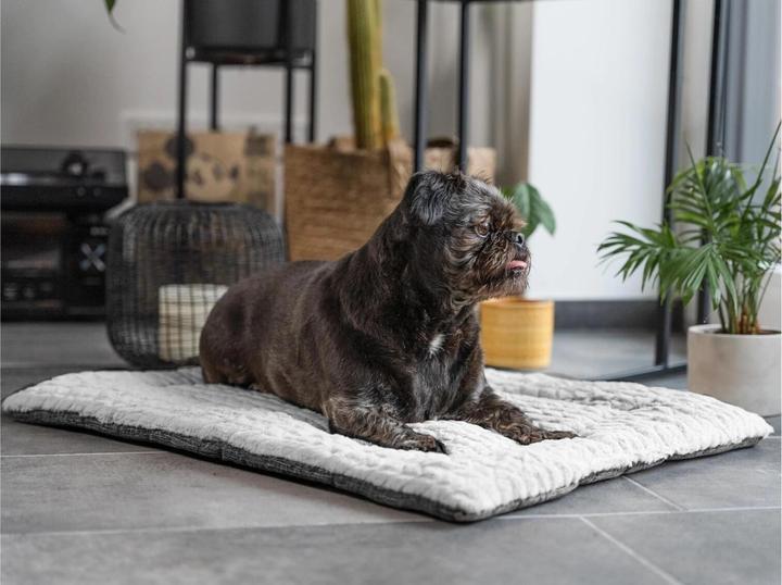 Actual product image Trend Pet Dog blanket Heaven, Grey, Size XS (Dog)