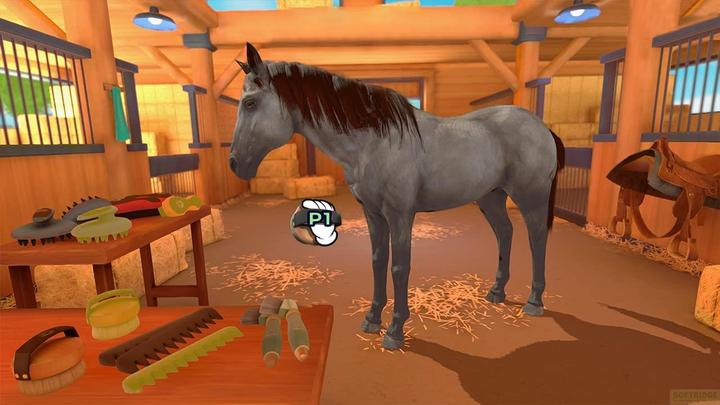 Immagine prodotto Microids Formazione equestre (PS4, EN)