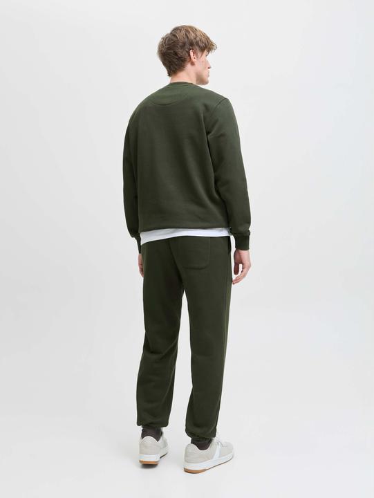 Actual product image Jack & Jones Jjesoho Sweat Crew Neck Noos (M)