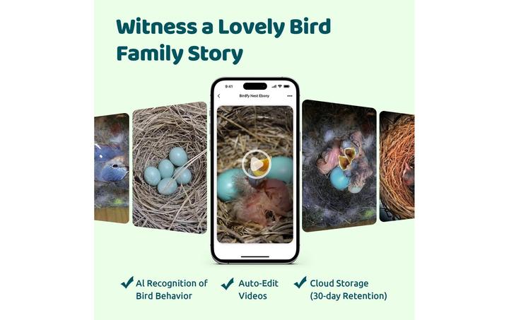 Produktbild Netvue Vogelhaus Nistkasten mit Kamera und Solar