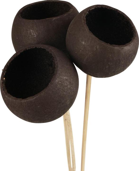 Produktbild Viana Bell Cups (7 cm)