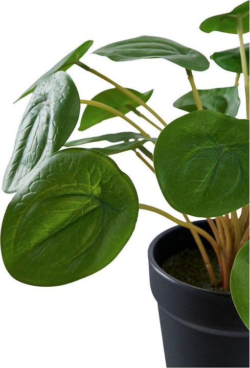 Actual product image House Nordic Pelia (28 cm)