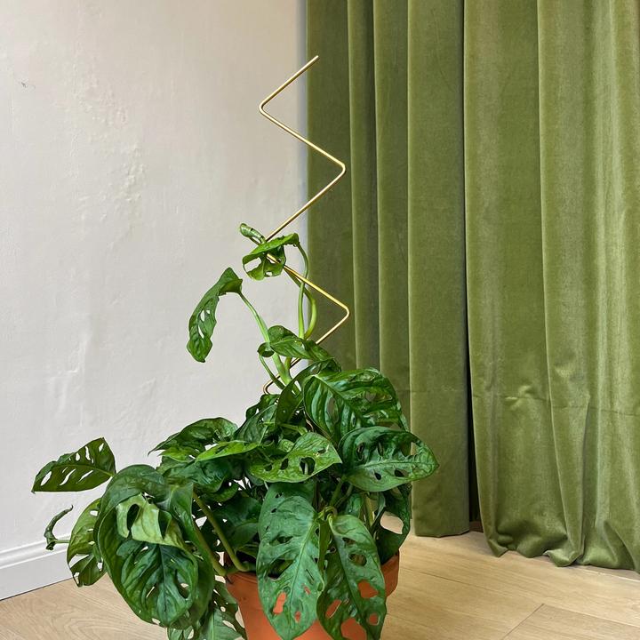 Immagine prodotto Botanopia Rankhilfe