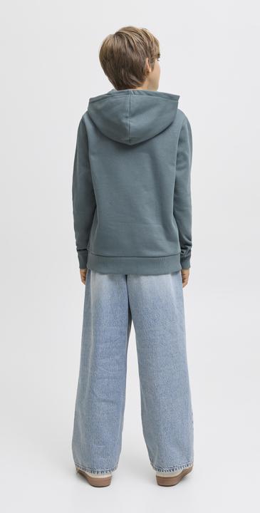 Produktbild Jack & Jones Jjecaleb Varsity Sweat Hood Noos Jnr (176)