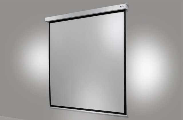 Image du produit Celexon Moteur Professional Plus (167", 1:1)